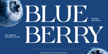 Bonrage Font Poster 4