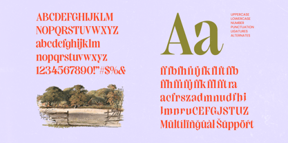 Elinkos Font Poster 6