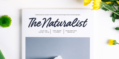Royal Cataloge Font Poster 3
