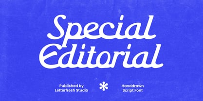 Special Editorial Font Poster 13