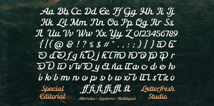 Special Editorial Font Poster 12