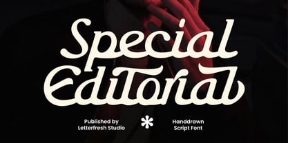 Special Editorial Font Poster 1