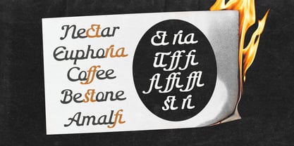 Special Editorial Font Poster 11