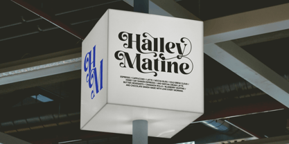 Boney Mellina Font Poster 2