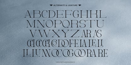 Elviante Font Poster 9
