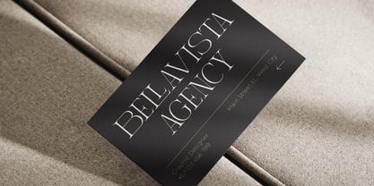 Elviante Font Poster 6