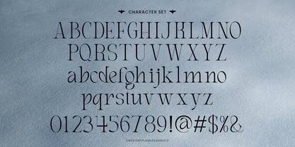 Elviante Font Poster 8