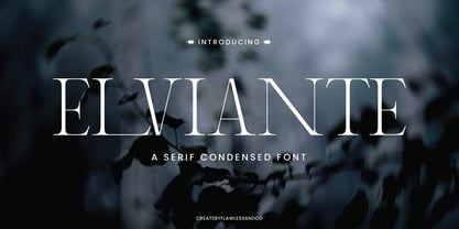 Elviante Font Poster 1