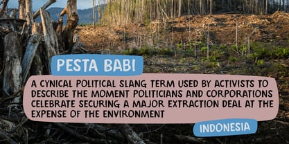 Pesta Babi Font Poster 2