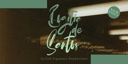 Bonithesfa Font Poster 4
