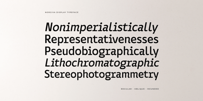 Norgiva Font Poster 2