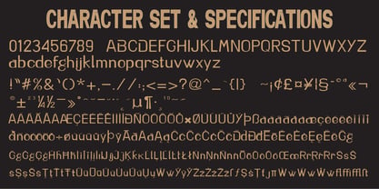Brown Magpie Font Poster 5