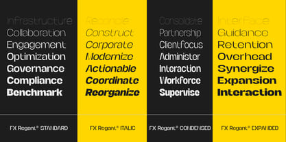 FX Regant Font Poster 13