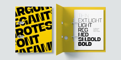 FX Regant Font Poster 2