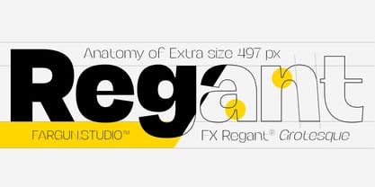 FX Regant Font Poster 11