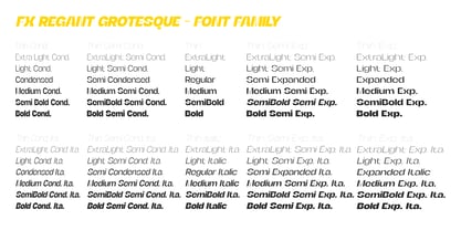 FX Regant Font Poster 9