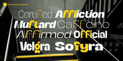 FX Regant Font Poster 15