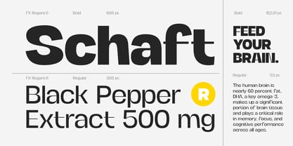 FX Regant Font Poster 4