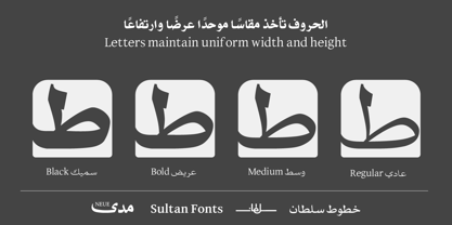 SF Mada Neue Font Poster 4
