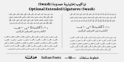 SF Mada Neue Font Poster 11