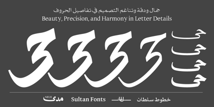 SF Mada Neue Font Poster 13
