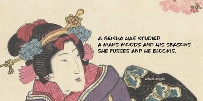 Ukiyo Mind Pro Font Poster 3