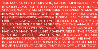 Black Train Font Poster 6