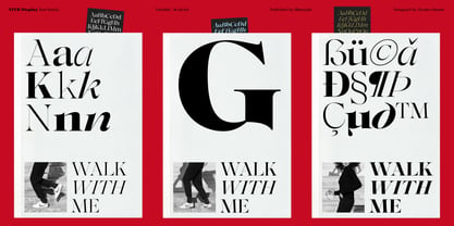 Ater Display Font Poster 9