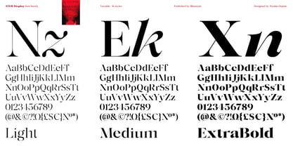 Ater Display Font Poster 6