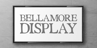 PG Bellamore Font Poster 14