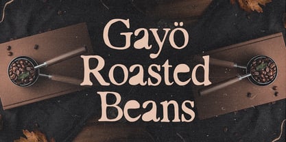 PG Bellamore Font Poster 13