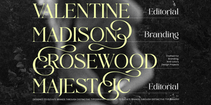 Midnight Cafe Society Font Poster 7