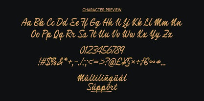 Selmith Font Poster 9