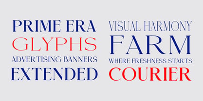 Raiselle Font Poster 5