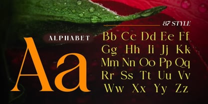 Raiselle Font Poster 2