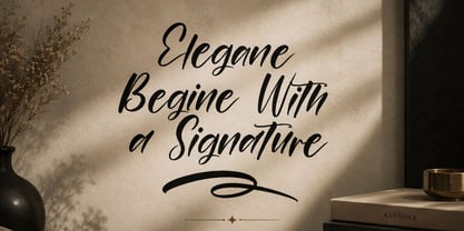 Belarise Font Poster 6