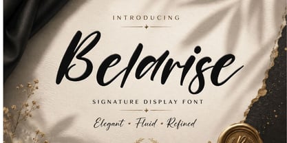 Belarise Font Poster 1