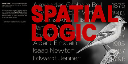 Spatial Logic Font Poster 9