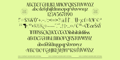 Rhythm The Night Font Poster 10