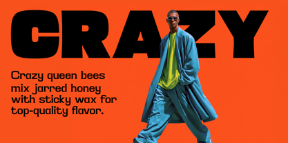 Buzzzing Font Poster 6