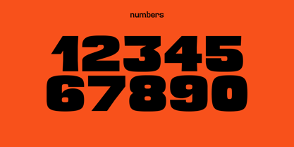 Buzzzing Font Poster 10
