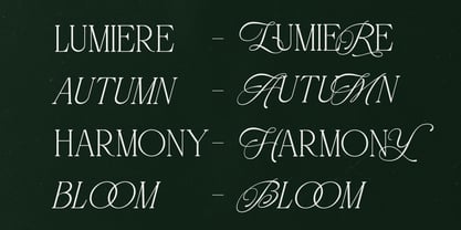 Atelier Blume Font Poster 10