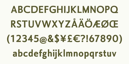 Pilastro Font Poster 7