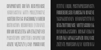 Ransahoff CT Font Poster 9