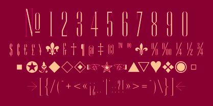 Ransahoff CT Font Poster 8