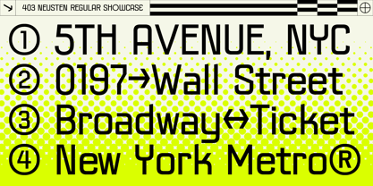 403 Neusten Font Poster 10