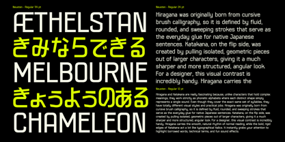 403 Neusten Font Poster 7