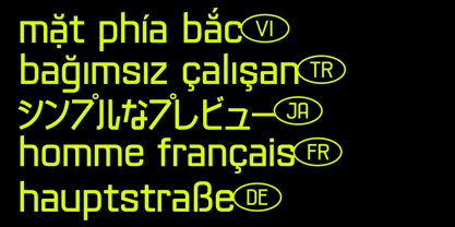 403 Neusten Font Poster 11