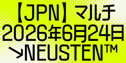403 Neusten Font Poster 5