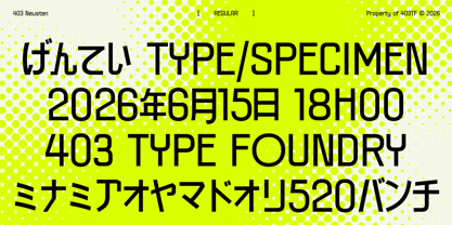 403 Neusten Font Poster 2